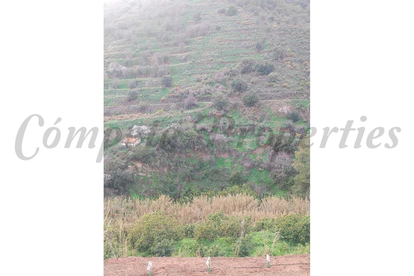 Photo 3 sur 6 — Terrain Rustique à Torrox · Torrox