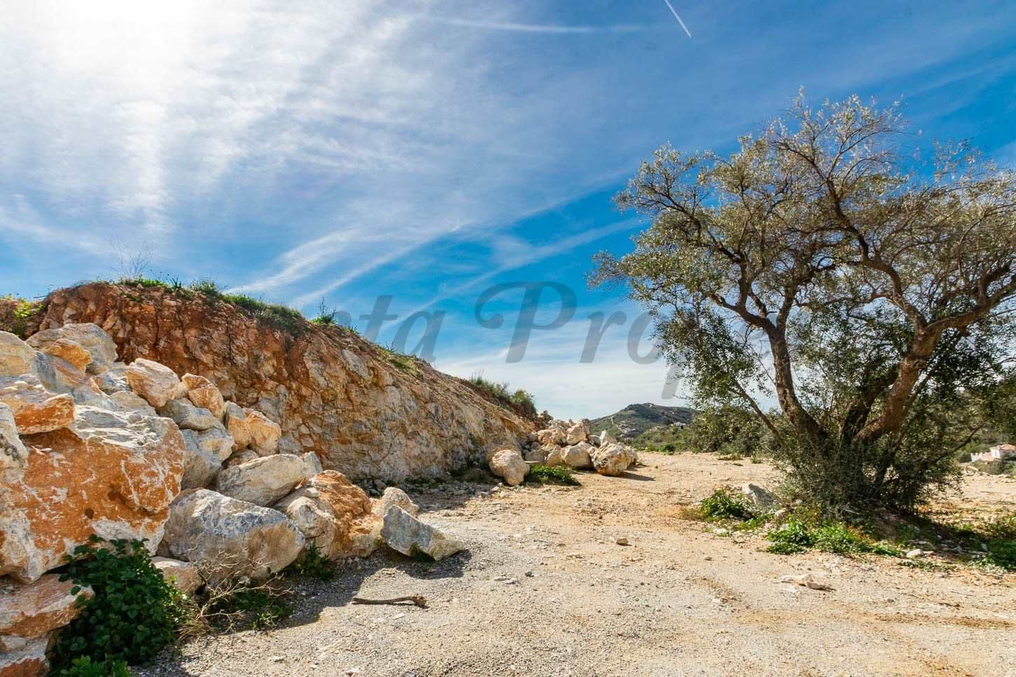Photo 3 sur 9 — Terrain Rustique à Canillas de Albaida · Canillas de Albaida