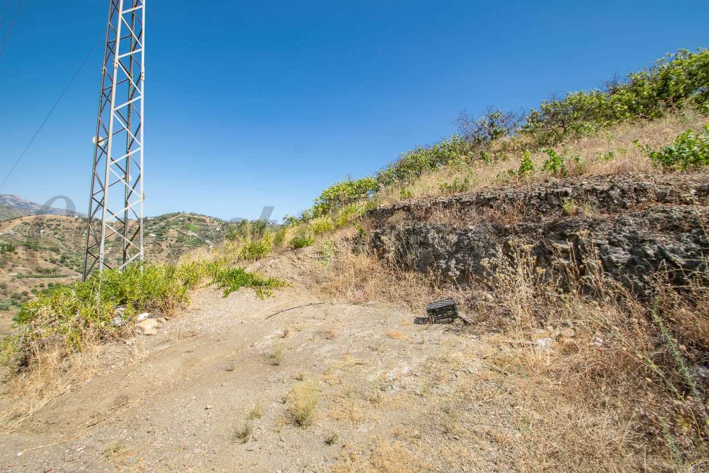 Terrain Rustique à Torrox · Torrox
