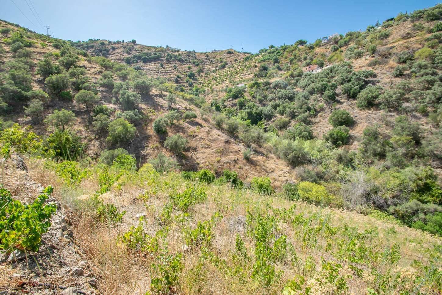 Photo 3 sur 8 — Terrain Rustique à Torrox · Torrox
