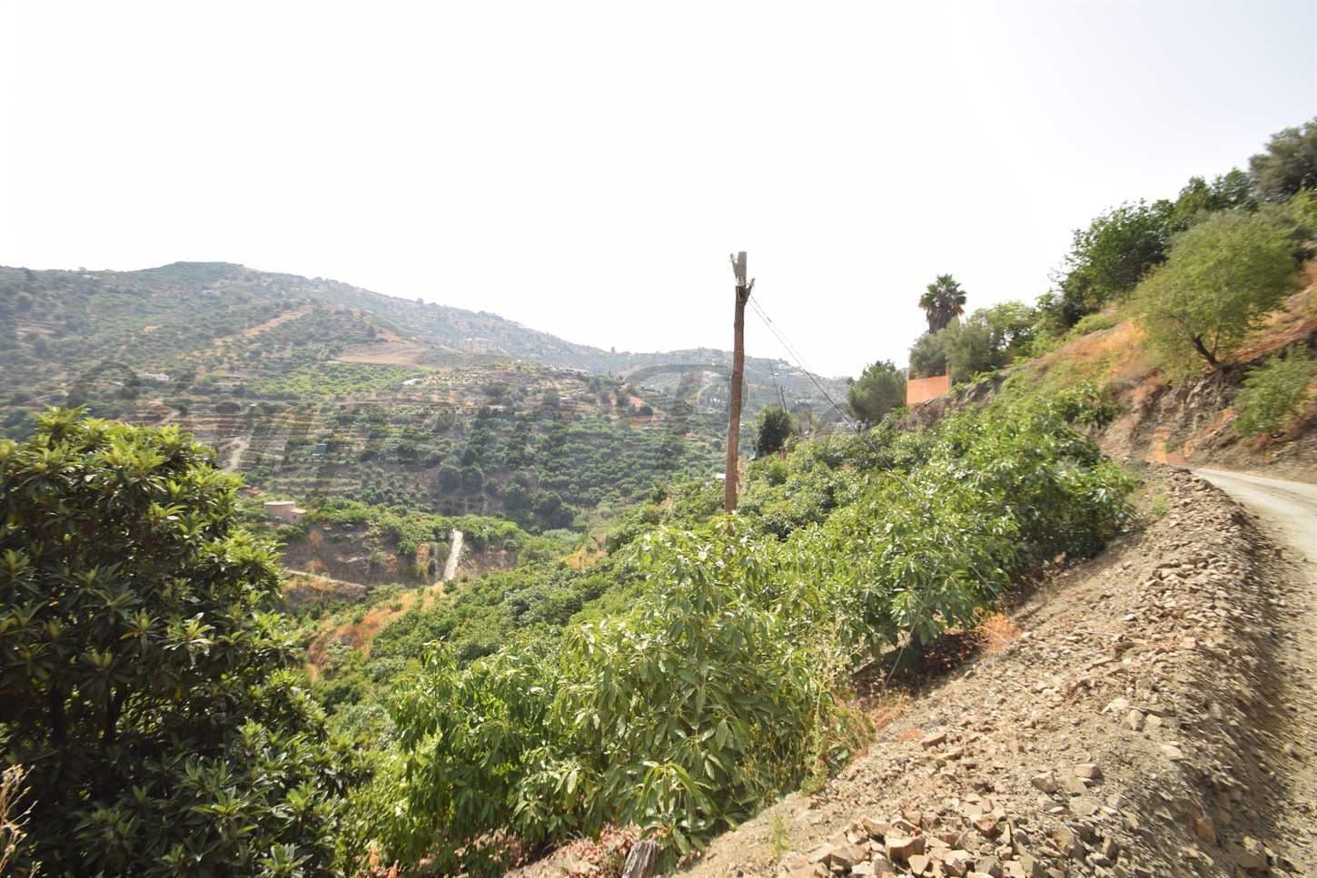 Photo 3 sur 9 — Terrain Rustique à Torrox · Torrox