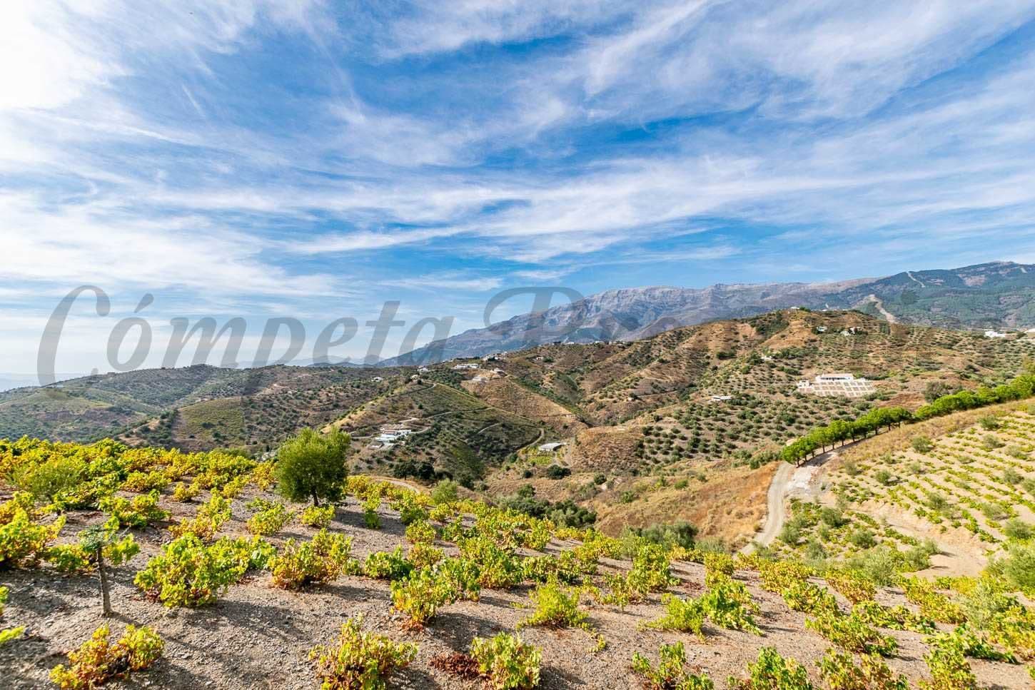 Photo 3 sur 17 — Maison de Campagne à Árchez · Árchez