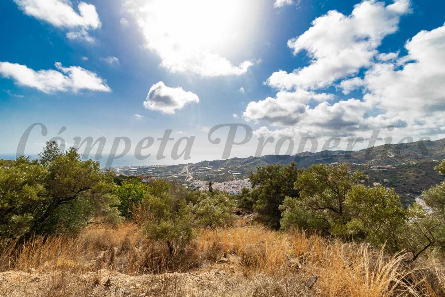 Terrain Rustique à Torrox · Torrox