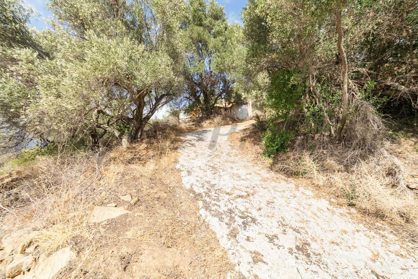 Photo 3 sur 20 — Terrain Rustique à Torrox · Torrox