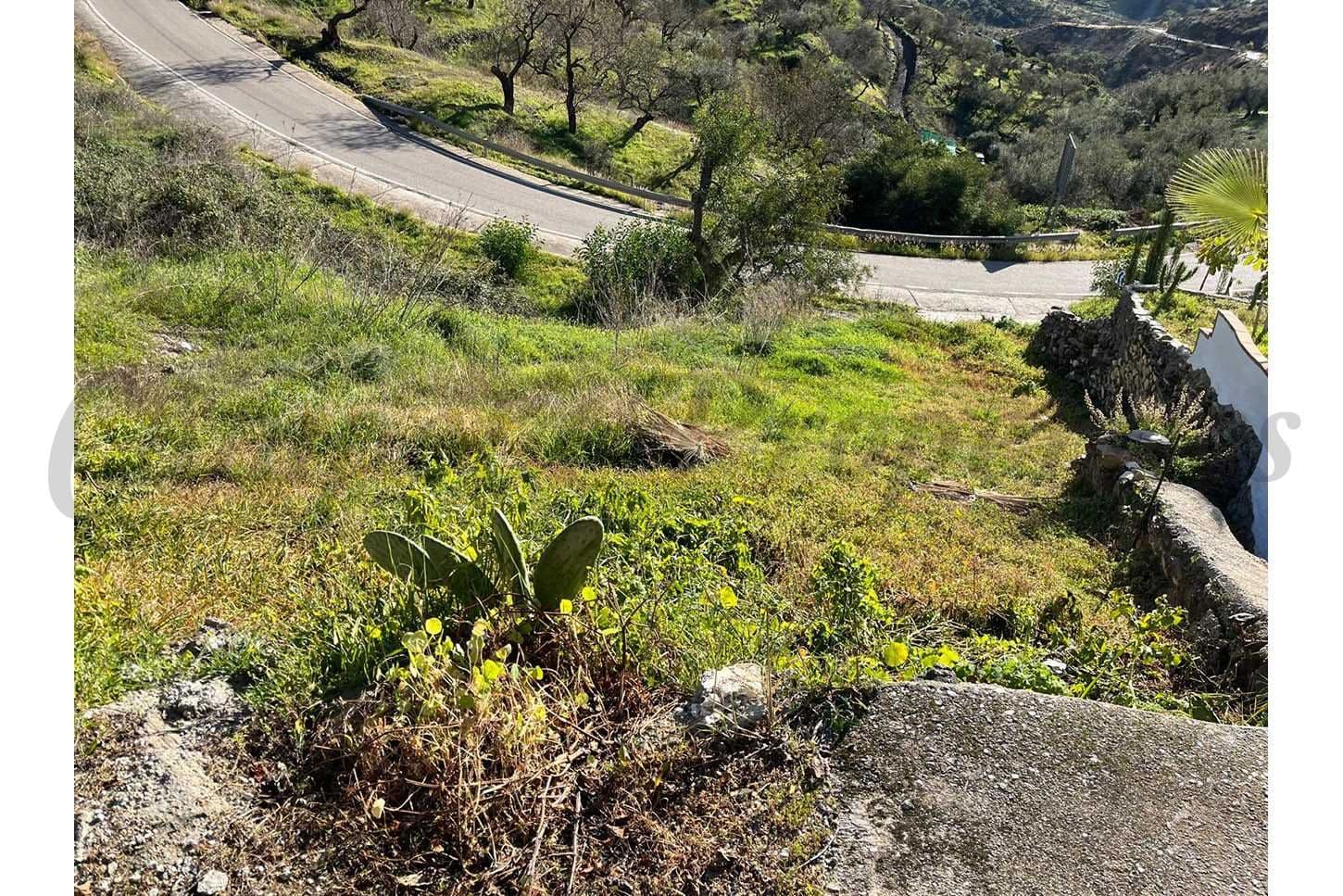 Photo 3 sur 8 — Terrain Urbain à Daimalos · Daimalos