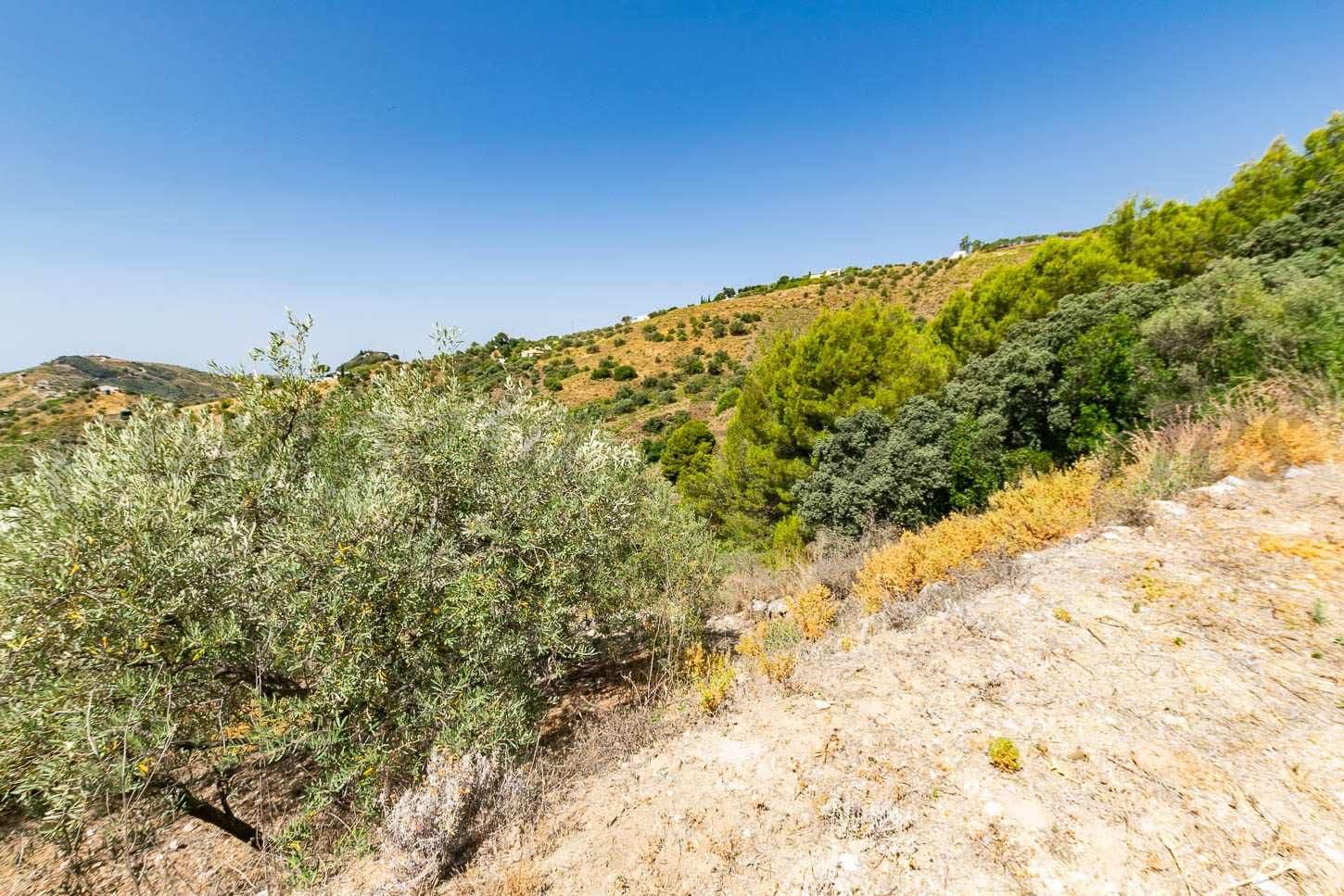 Terrain Rustique à Canillas de Albaida · Canillas de Albaida