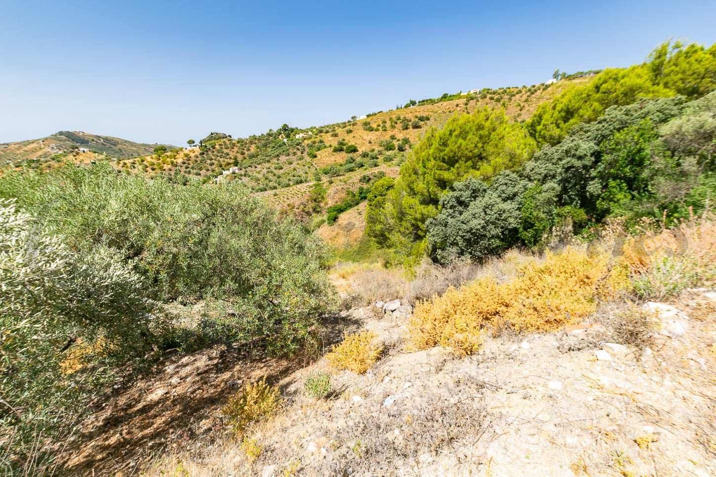 Photo 3 sur 7 — Terrain Rustique à Canillas de Albaida · Canillas de Albaida