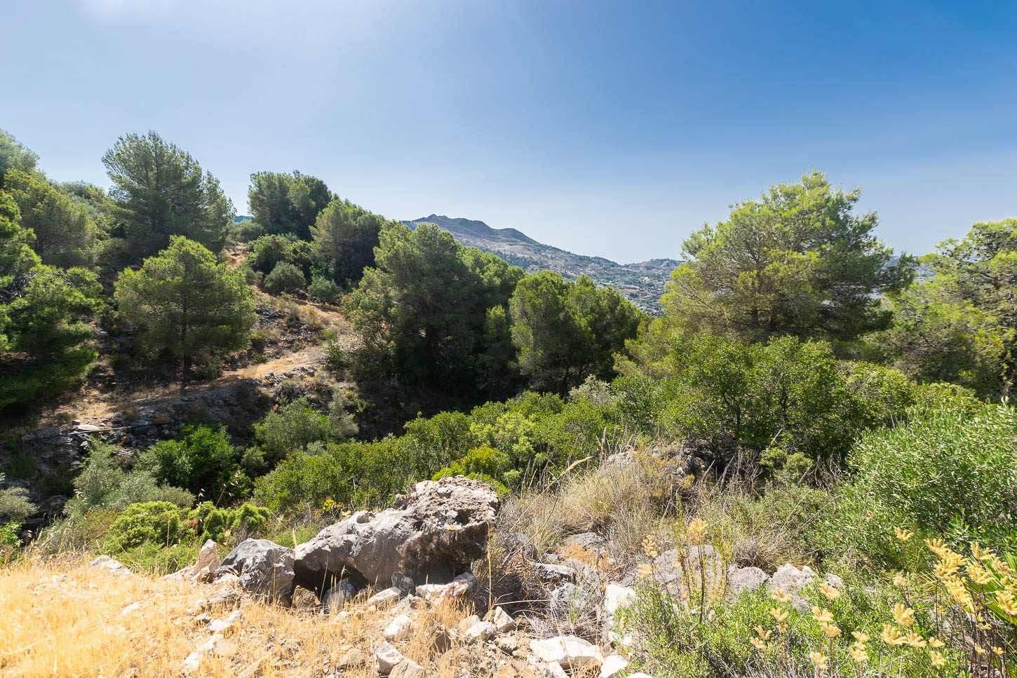 Terrain Rustique à Canillas de Albaida · Canillas de Albaida