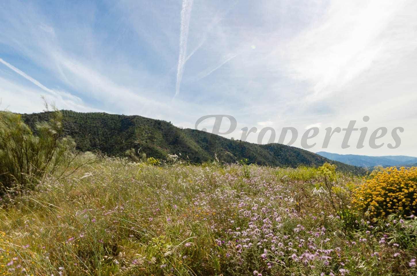 Photo 3 sur 12 — Terrain Rustique à Sedella · Sedella