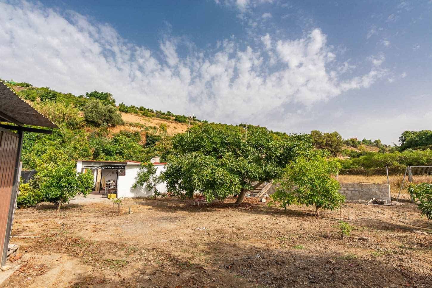 Terrain Rustique à Nerja · Nerja